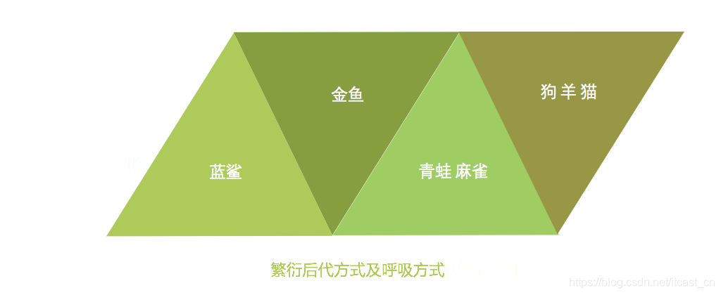 機器學習中入門級必學的算法